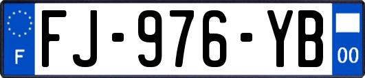 FJ-976-YB
