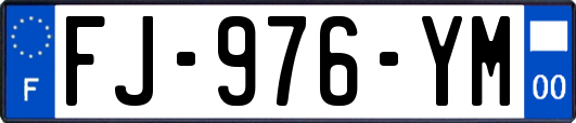 FJ-976-YM