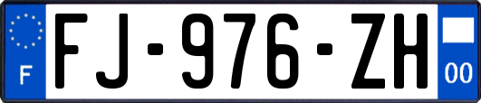 FJ-976-ZH