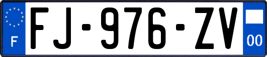 FJ-976-ZV