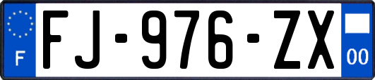 FJ-976-ZX