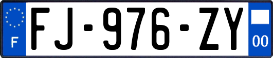 FJ-976-ZY