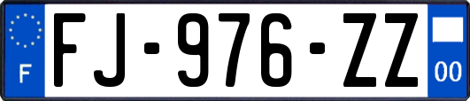 FJ-976-ZZ