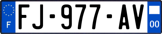 FJ-977-AV