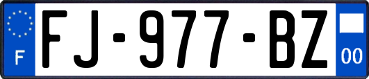 FJ-977-BZ