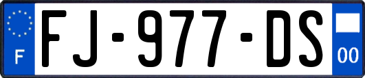 FJ-977-DS