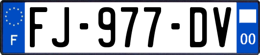 FJ-977-DV