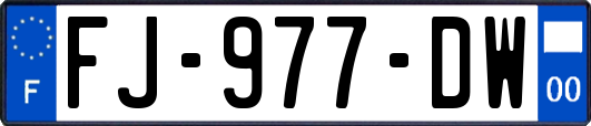 FJ-977-DW