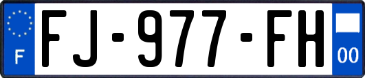 FJ-977-FH