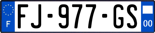 FJ-977-GS