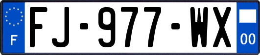 FJ-977-WX