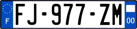 FJ-977-ZM