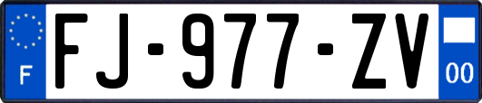 FJ-977-ZV