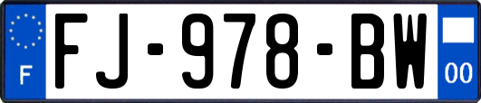 FJ-978-BW