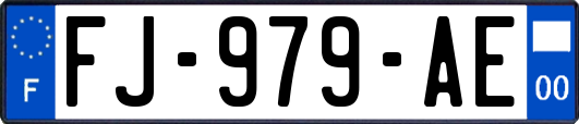 FJ-979-AE