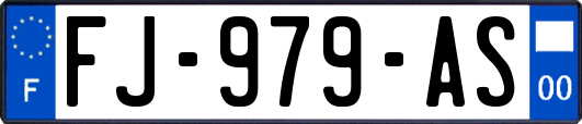 FJ-979-AS