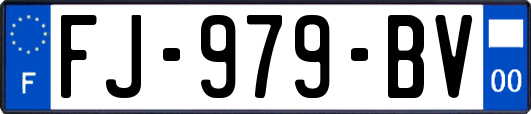 FJ-979-BV