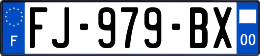 FJ-979-BX