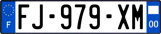 FJ-979-XM