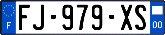 FJ-979-XS