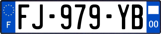 FJ-979-YB