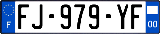 FJ-979-YF