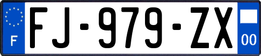 FJ-979-ZX