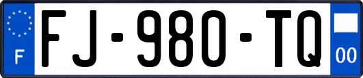 FJ-980-TQ