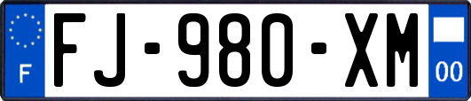 FJ-980-XM