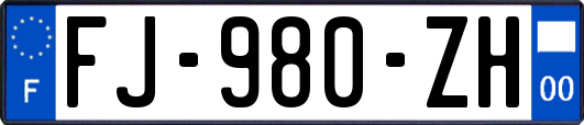 FJ-980-ZH