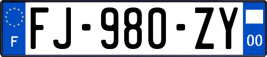 FJ-980-ZY