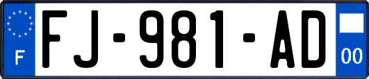 FJ-981-AD