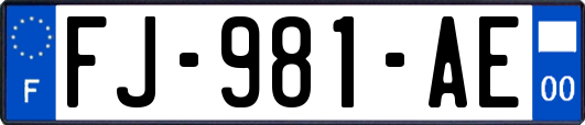 FJ-981-AE