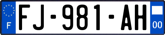 FJ-981-AH