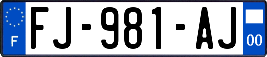 FJ-981-AJ