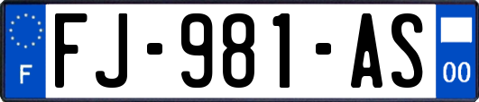 FJ-981-AS