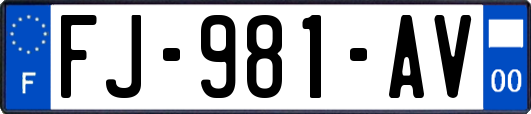 FJ-981-AV