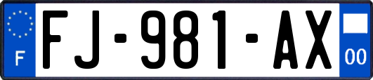 FJ-981-AX