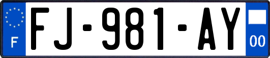 FJ-981-AY