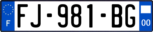 FJ-981-BG