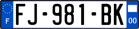 FJ-981-BK