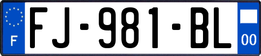FJ-981-BL