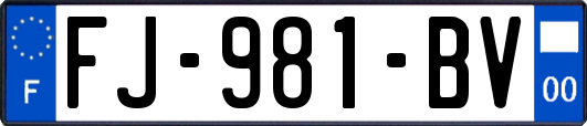 FJ-981-BV