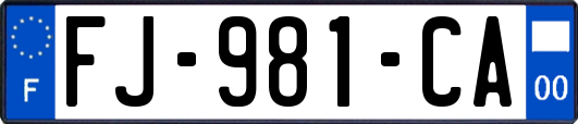 FJ-981-CA