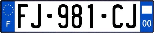 FJ-981-CJ