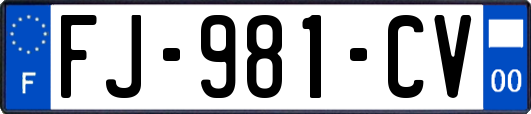 FJ-981-CV
