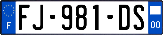 FJ-981-DS