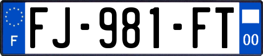 FJ-981-FT