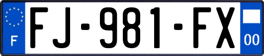 FJ-981-FX
