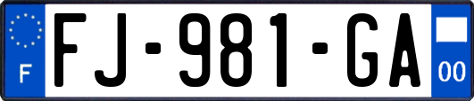FJ-981-GA